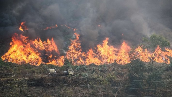 16 Concelhos Do Interior Norte E Centro E Do Algarve Em Risco Maximo De Incendio