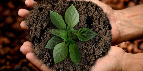 Campanha de sustentabilidade ambiental no CHBM