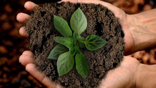 Campanha de sustentabilidade ambiental no CHBM