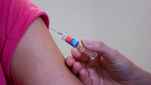 Campanhã de vacinação contra a gripe começa esta segunda-feira