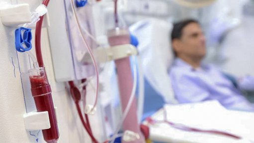 Mais de metade dos doentes em hemodiálise apresenta necessidades de apoio