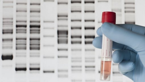 Base de dados de perfis de ADN conseguiu 11.774 amostras em oito anos