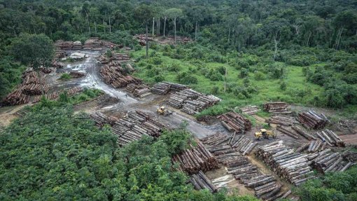 Desflorestação da Amazónia brasileira cresce 278% num ano