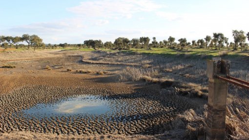 Quercus pede declaração de estado de emergência climática para o Alentejo