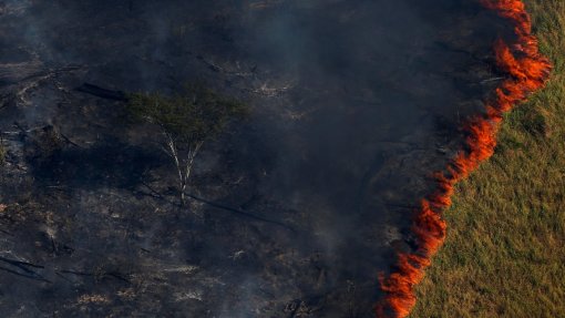 Amazónia é o bioma mais afetado pelos incêndios no Brasil