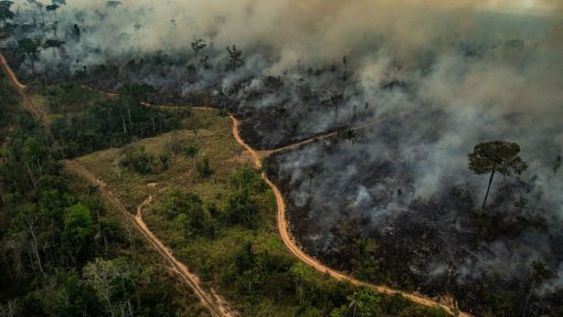 Brasil aberto a receber apoio internacional para Amazónia, mas impõe condições