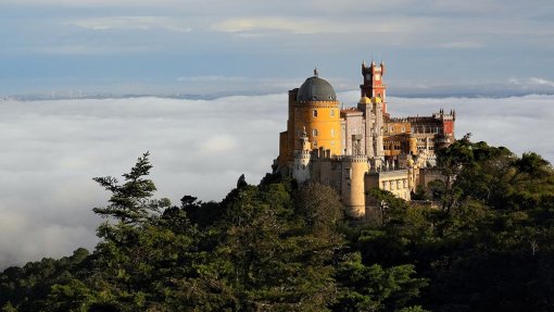 Parque da Pena em Sintra reabre hoje após eliminação das vespas asiáticas