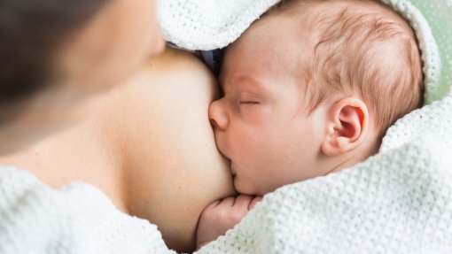 Serviço da maternidade do Porto ensina bebés prematuros a mamar