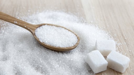 Estudo sobre impacto do consumo de açúcar na despesa em saúde vence 1º Prémio Pita Barros