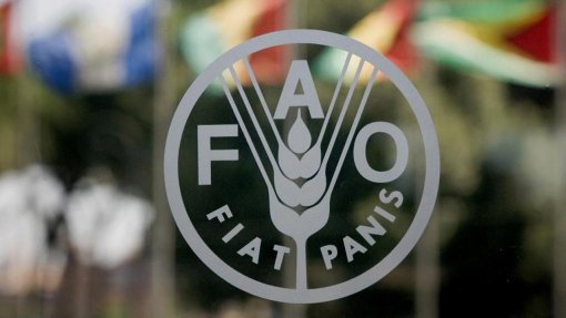 FAO alerta para elevado custo das dietas de má qualidade