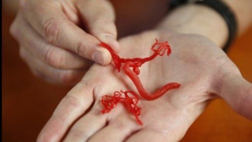Cientistas nos EUA criam vasos sanguíneos artificiais funcionais
