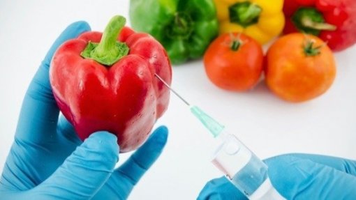 &quot;Os Verdes&quot; querem rótulo obrigatório para todos os alimentos transgénicos