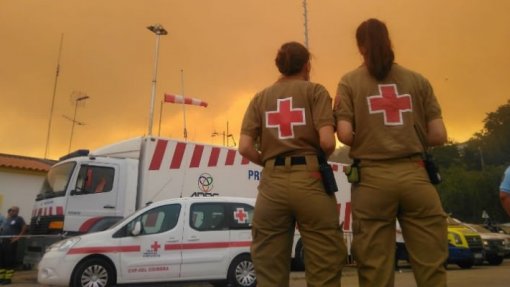 Cruz Vermelha de Coimbra implementa programa para crianças afetadas por catástrofes