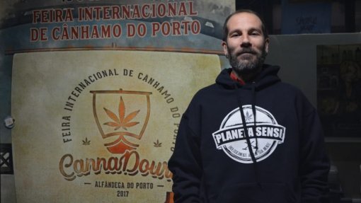Diretor de feira de cânhamo denuncia “efeitos perversos&quot; na lei da canábis medicinal