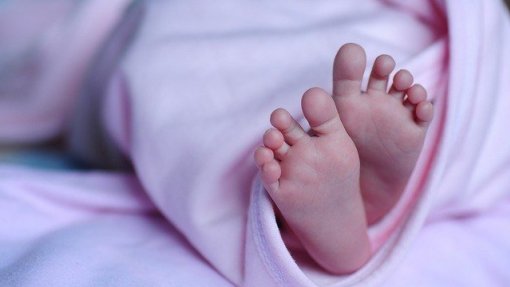 Bastonário dos Médicos, ministra e regulador vão à AR esclarecer caso do bebé com malformações
