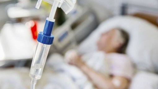 Investigadores pedem mais tempo para realizar estudos que sustentem eutanásia