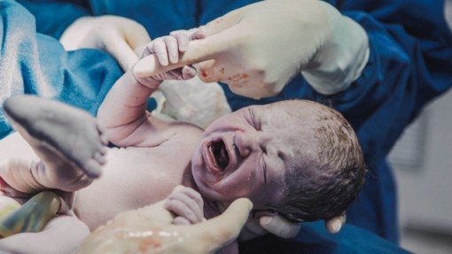 Na unidade de Neonatologia do Hospital de Gaia luta-se pela vida e acalmam-se os pais