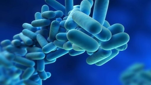 Legionella: Fase de instrução do surto de Vila Franca de Xira começa na quarta-feira