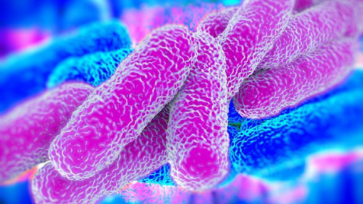 Legionella: Fase de instrução do surto de Vila Franca de Xira começa hoje em Loures