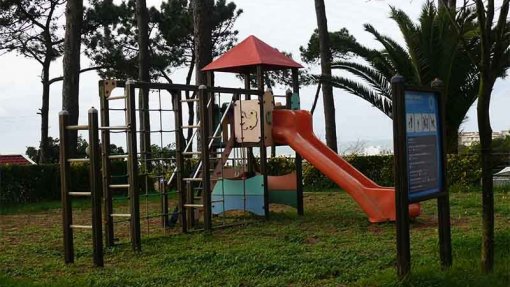 Crianças com espaços verdes em redor das escolas têm melhor função pulmonar