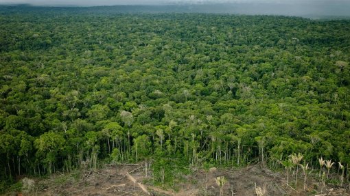 Brasil deve travar usurpação de terras que ameaça destruição da Amazónia