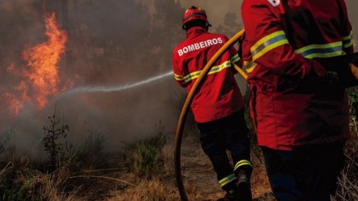 Incêndios: Tribunal de Contas quer que Governo altere lei sobre planos de defesa da floresta