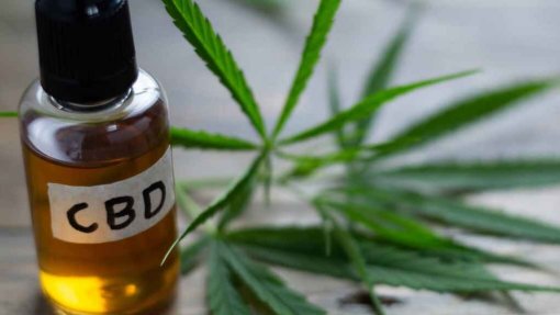 Brasil aprova venda de medicamentos à base de canábis