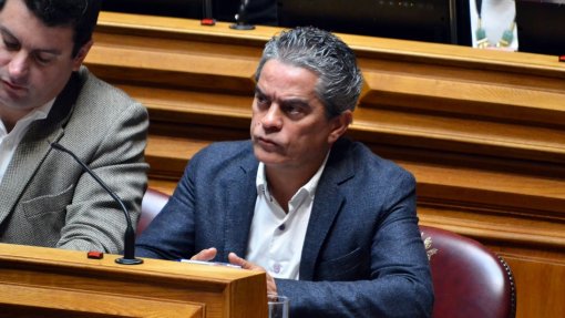 Eutanásia: Verdes vão apresentar projeto de lei para despenalização