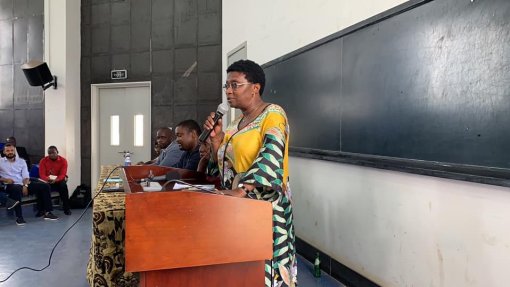 Ministério da Saúde da Guiné-Bissau quer diminuir mortalidade materna e infantil com assistência médica gratuita