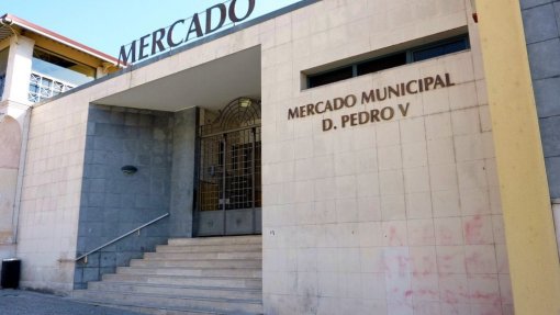 Coimbra alarga ações de falcoaria a outros espaços da cidade para afastar pombos