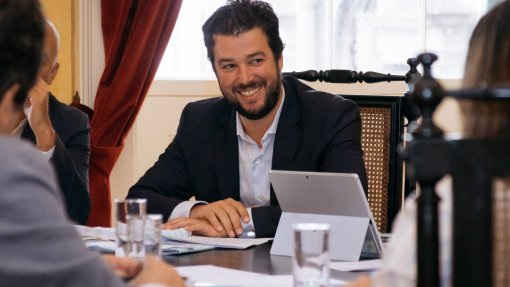 Câmara do Funchal aprova plano para abate de pombos no centro da cidade