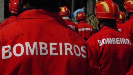 Covid-19: Formação nacional de bombeiros na sexta-feira centrada no transporte - DGS