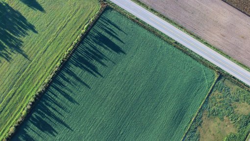 Covid-19: Agricultura não pode parar mas são necessários cuidados acrescidos - CAP