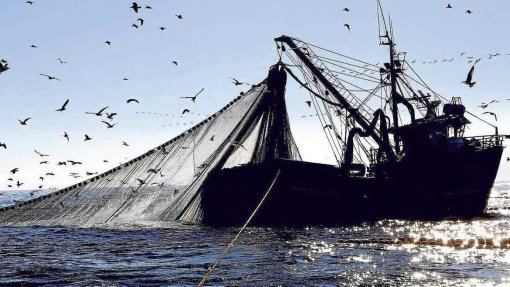 Covid-19: Pescadores de Aveiro saem para o mar &quot;com medo&quot;
