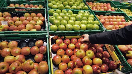 Covid-19: Apenas três clientes em simultâneo no Mercado de Montemor-o-Velho