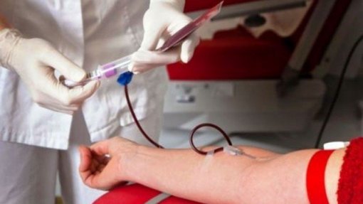 Covid-19: Instituto Português do Sangue alerta para forte redução de dadores