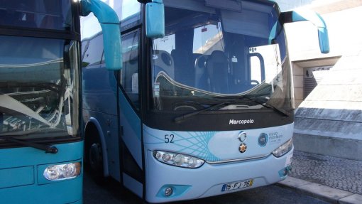 Covid-19: Empresa de transporte de passageiros disponibiliza-se para compras no Sabugal