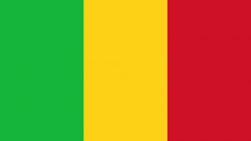 Covid-19: Primeiro-ministro do Mali diz que eleições no país mantêm-se para este mês