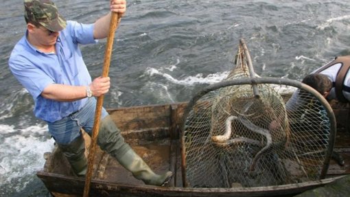 Covid-19: Pescadores de Caminha queixam-se de “situação caótica” e pedem ajuda ao Governo