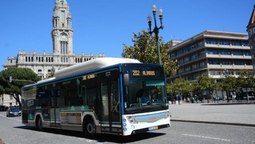 Covid-19: Autocarros do Porto reduzem oferta e aplicam horários de sábado nos dias úteis