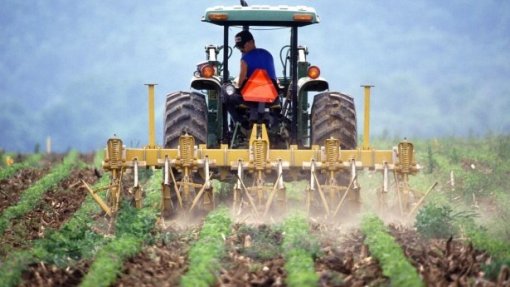 Covid-19: Agricultores exigem medidas para salvaguardar produção e segurança alimentar