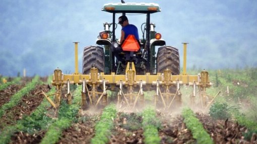 Covid-19: Agricultores exigem medidas para salvaguardar produção e segurança alimentar