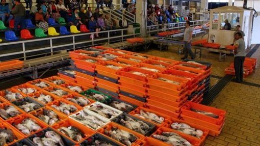 Covid-19: Leilões de pescado reduzidos e taxa de acostagem suspensa - Governo
