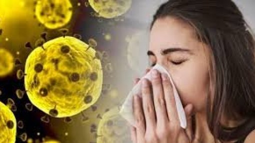 Covid-19: Sociedade Respiratória Europeia apela aos governos livre circulação de dispositivos médicos essenciais
