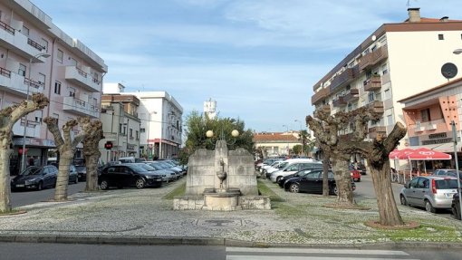 Oliveira do Bairro divulga relatório diário sobre evolução da pandemia no concelho