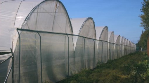 Movimento diz que empresas frutícolas no sudoeste alentejano seguem &quot;caminho arriscado&quot;