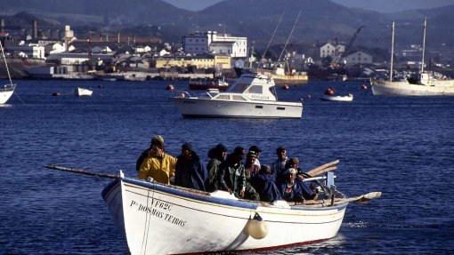 Governo dos Açores reforça apoios aos pescadores e armadores