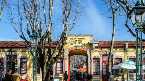 Vila do Conde suspende pagamento de rendas de casas e lojas municipais