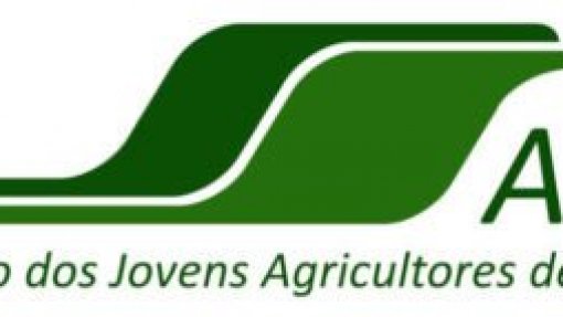 Covid-19: Jovens agricultores alertam para dificuldades e pedem reabertura de mercados