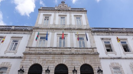 Covid-19: Câmara de Coimbra pede ao ICNF para limitar acesso à Mata do Choupal